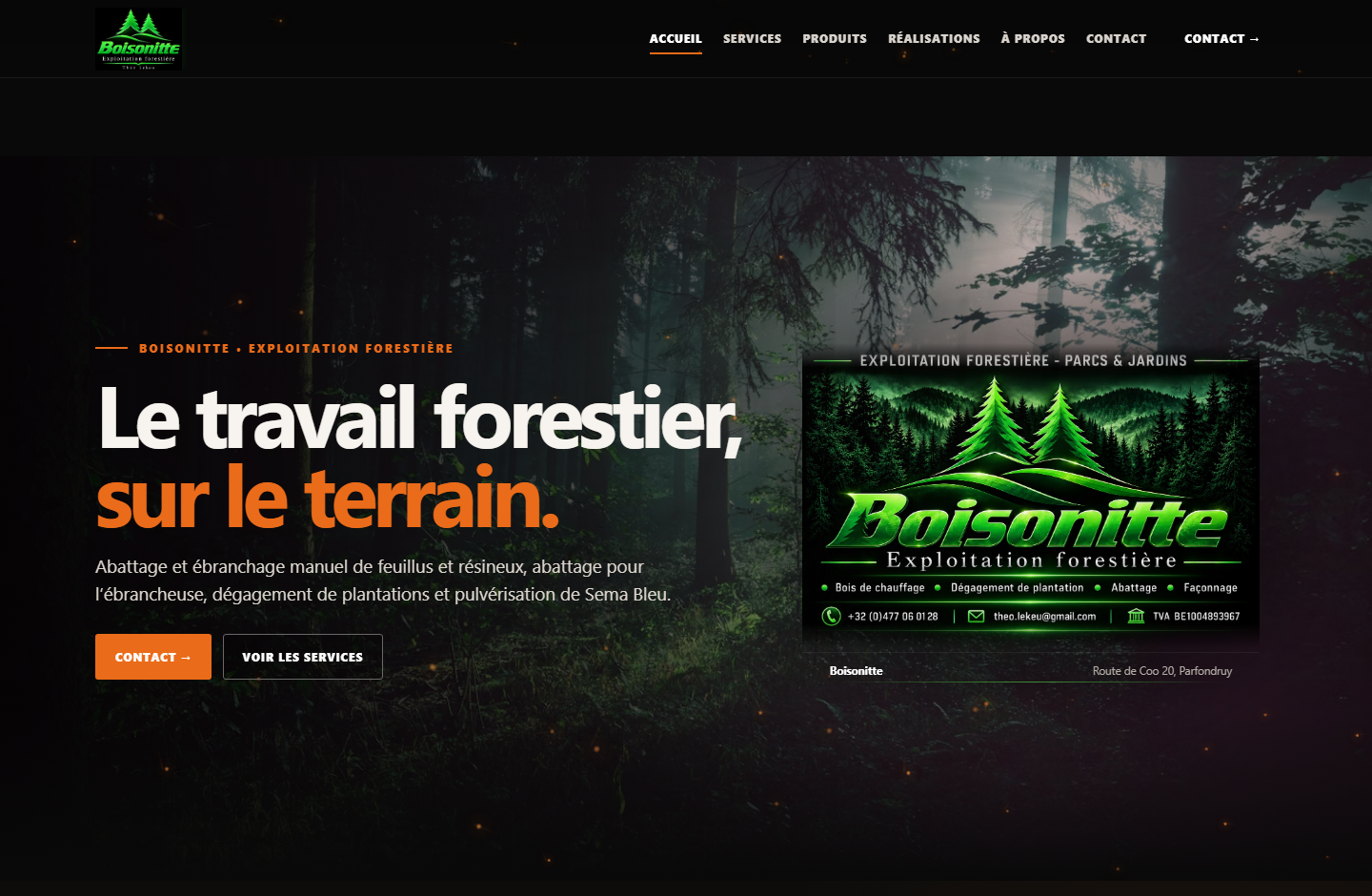 Aperçu de la page d’accueil du site Boisonitte